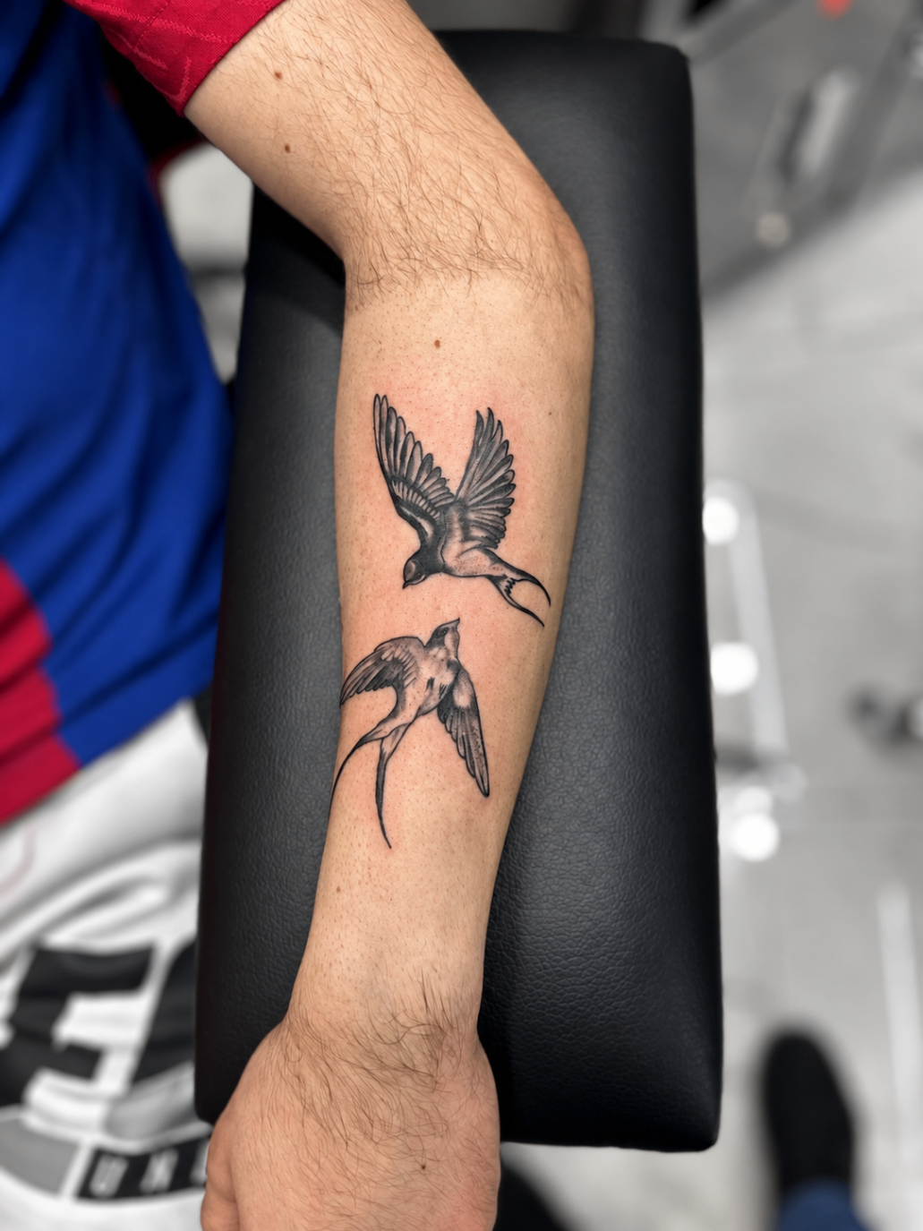 Tatouage Fine Line de deux hirondelles sur l’avant-bras